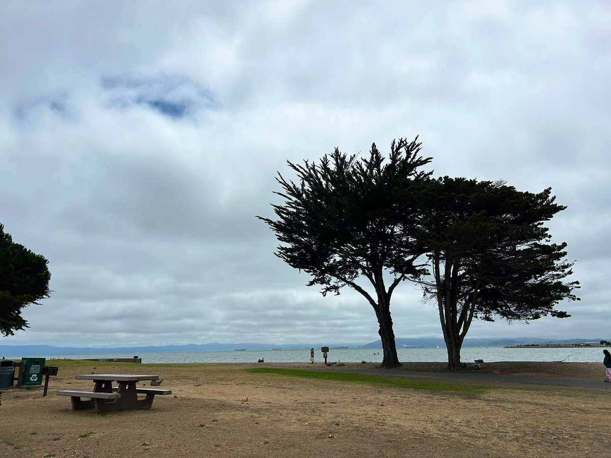 driftingixland's tweet image. Picnic