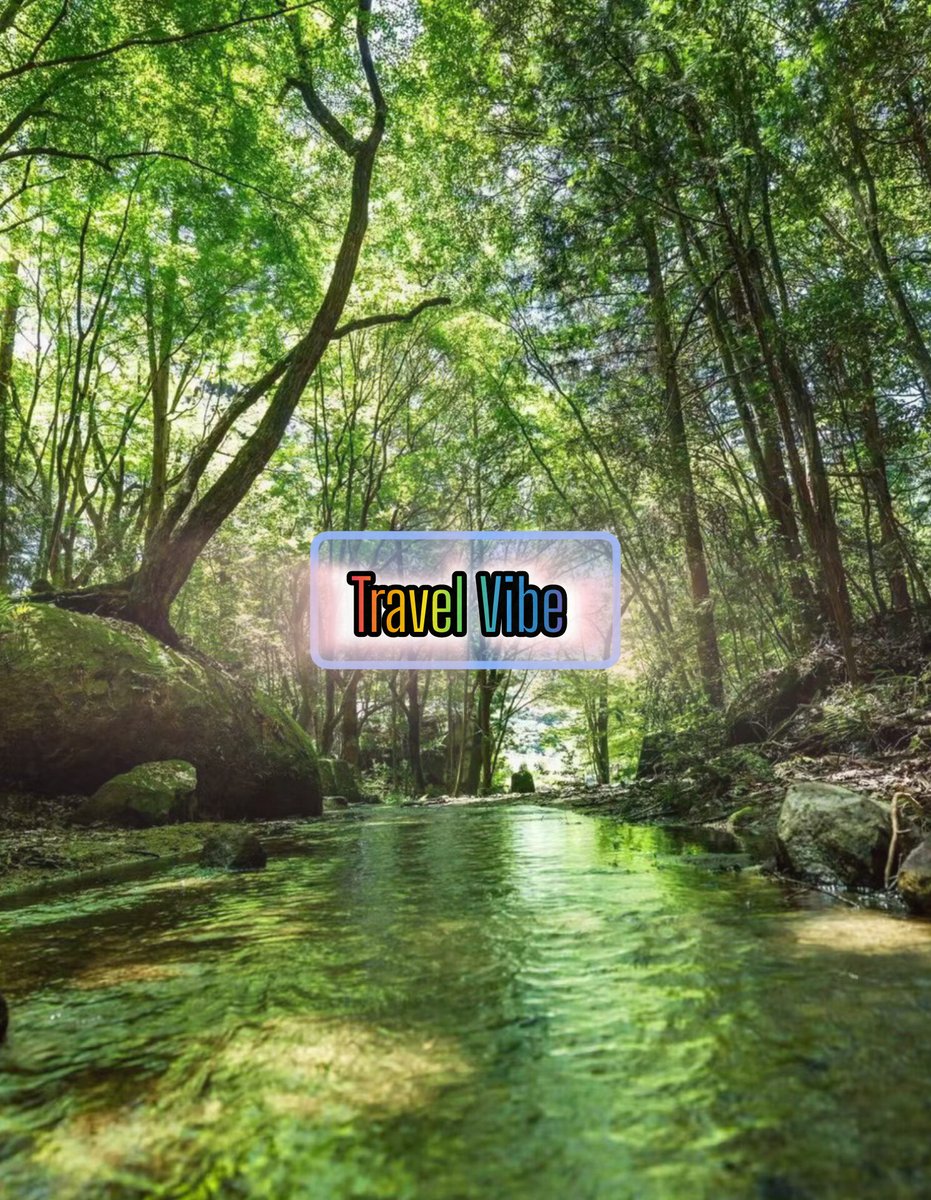💮 Murree forests or the Hunza Valley known for their natural beauty and tranquility a serene forest scene with a stream running through it surrounded by lush greenery and large rocks evoking a sense of tranquility and natural beauty.💮