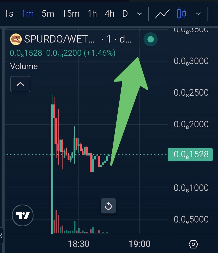jsckx67's tweet image. Bullish launch on $ETH $SPURDO

 At 500K MC chart ready to fly

@eth_spurdo is one of the earliest internet meme characters, created over 15 years ago and adopted as a foundational meme in 4chan at the same period as $Pepe

Chart:

dexscreener.com/ethereum/0xe1a…

#memecoins #สุรินทร์