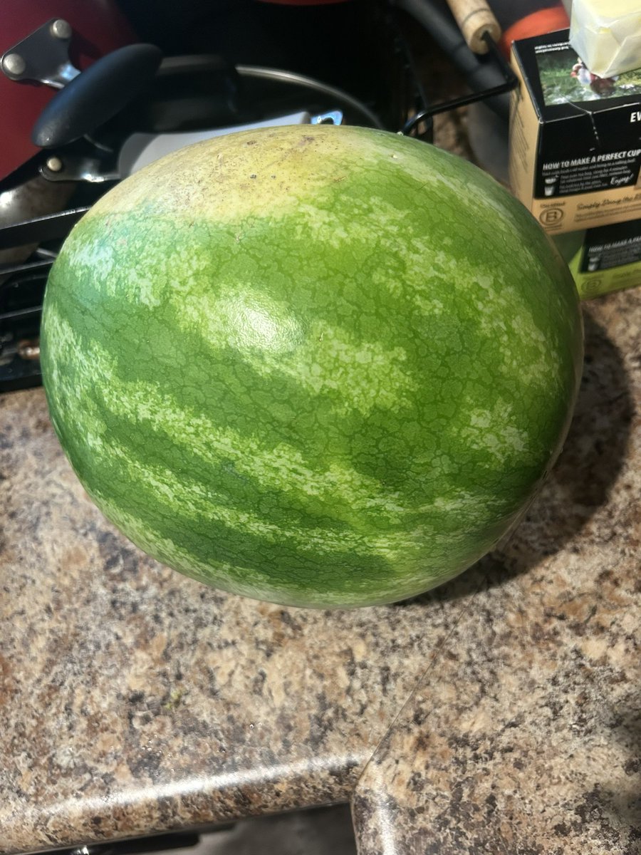 ToySoDetermined's tweet image. Started that watermelon diet today