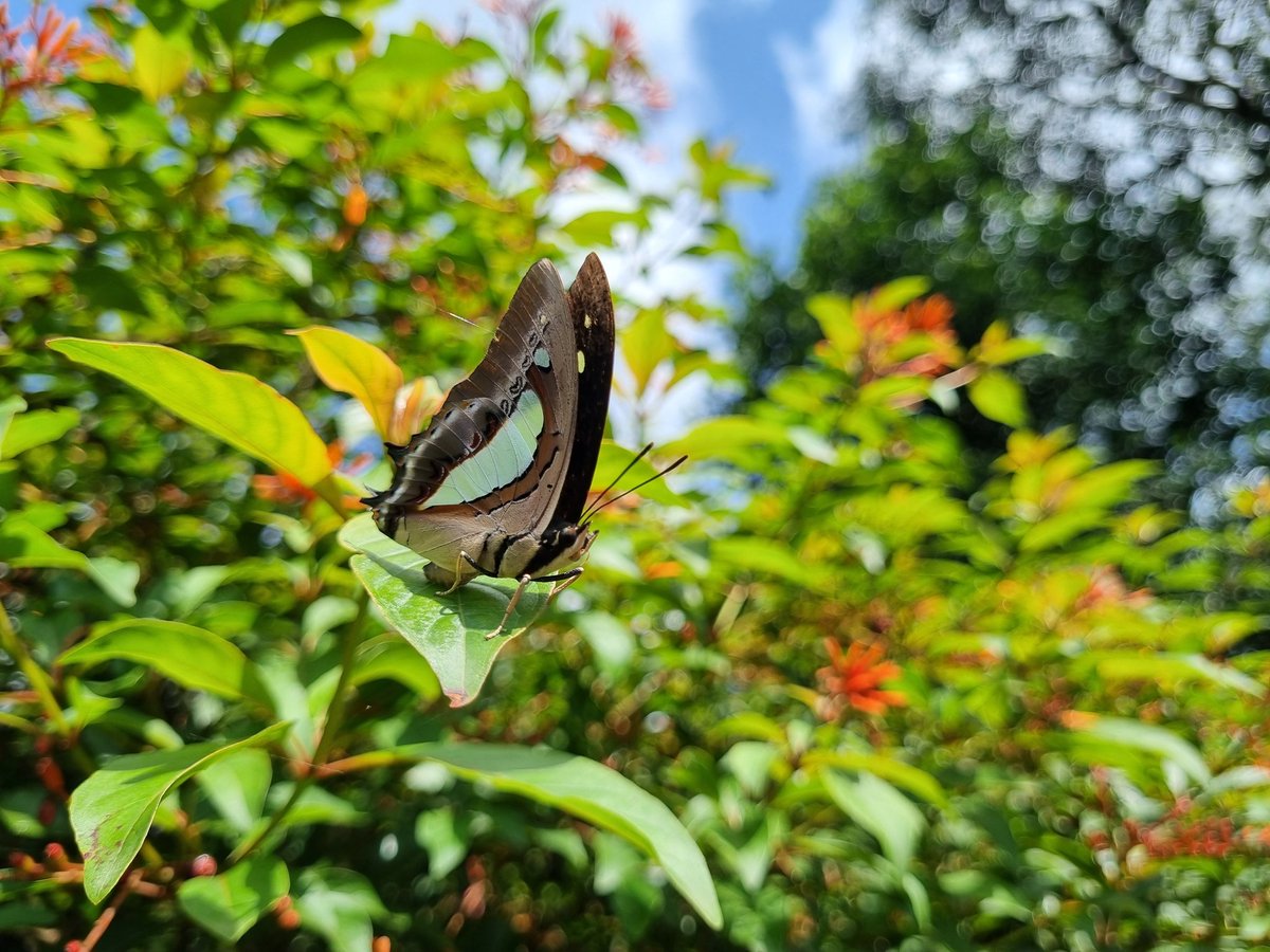arcadepokemon's tweet image. Glimpse of blue skies in the morning.
#shotonthephone #samsunggalaxy