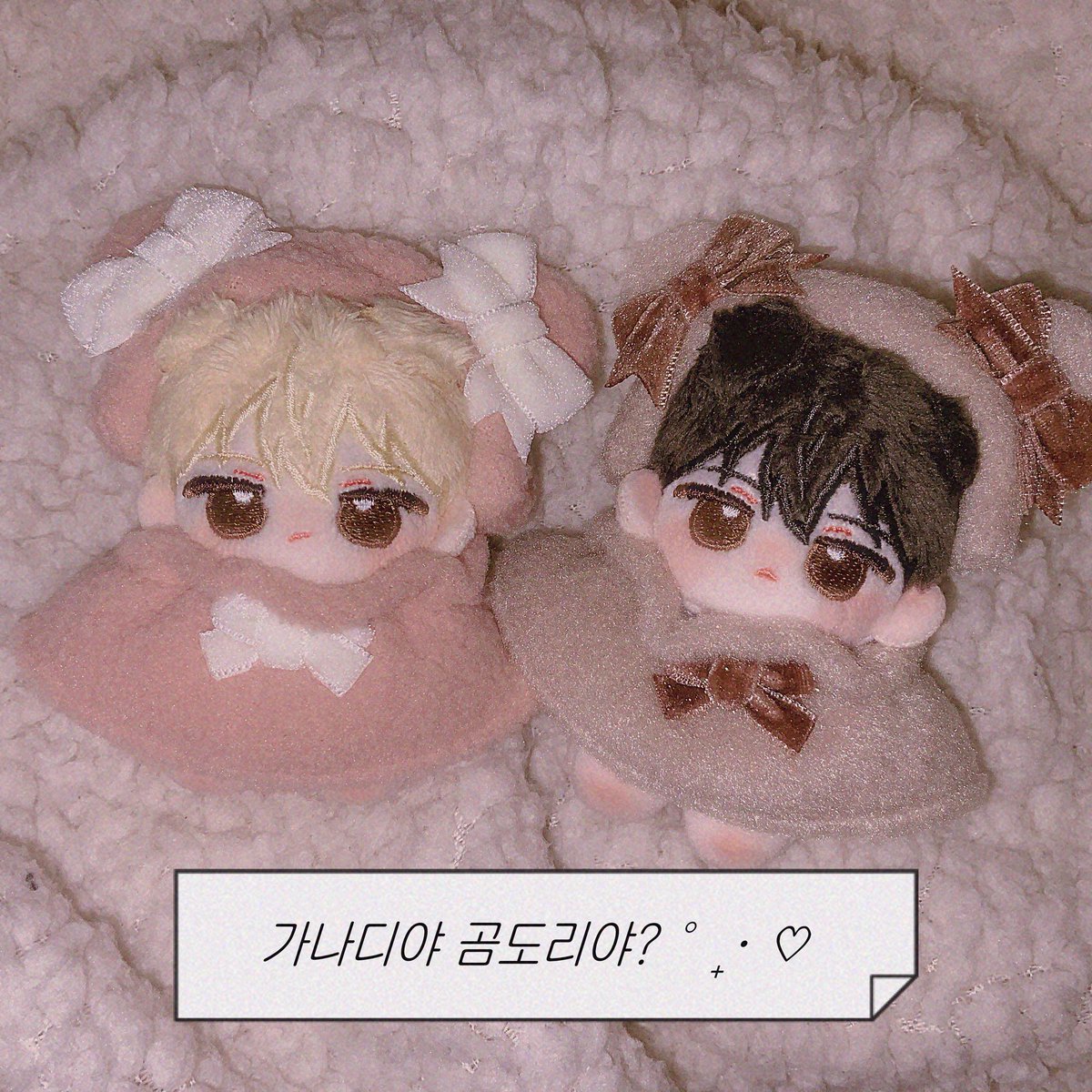 VAMOSsom's tweet image. #점심엔_마싯는_밥뭉댕
#달디단_밤뭉댕
#들어갑니다_솜사진

🐻곰도리 펀치🤜