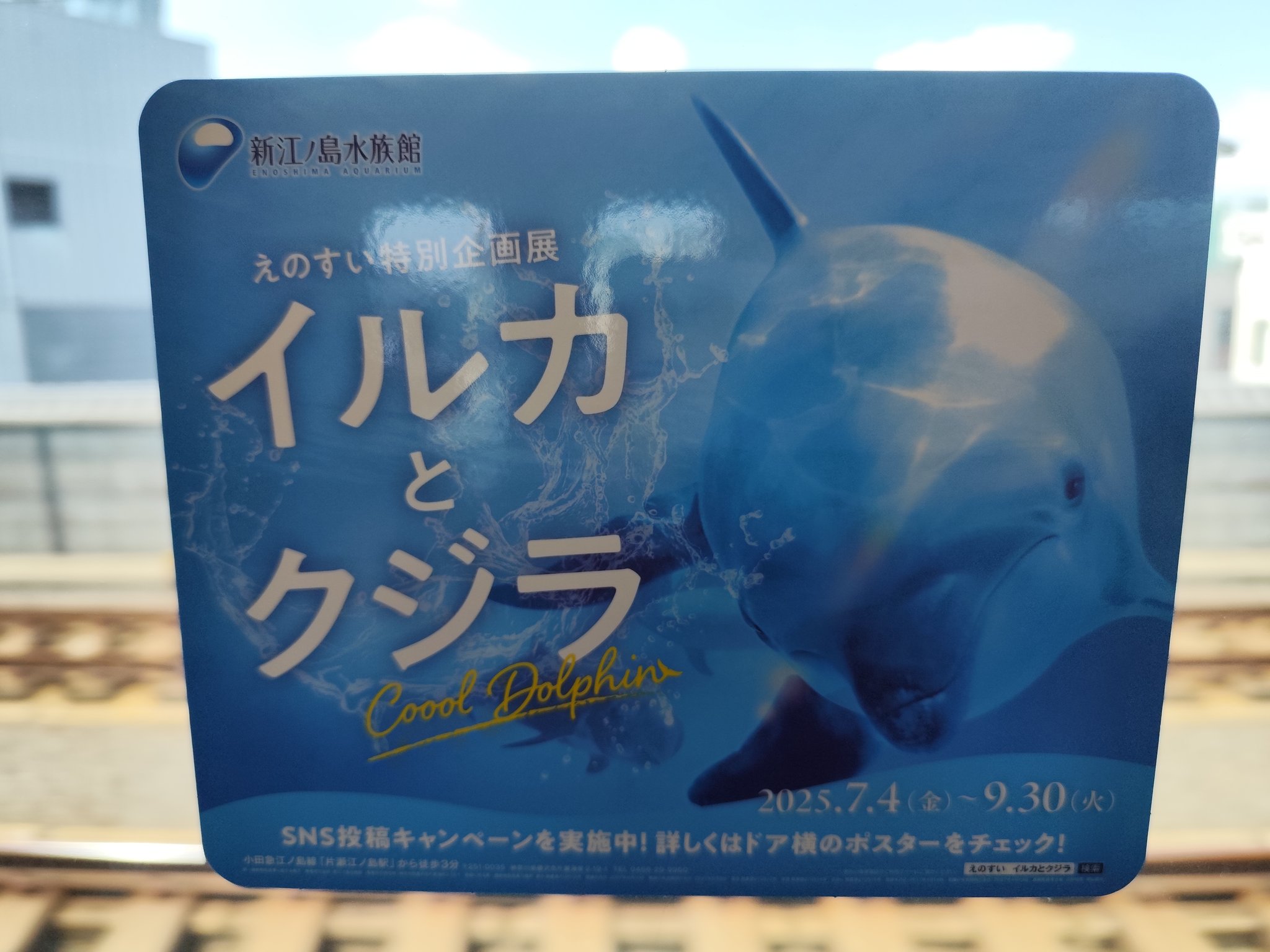 『クジラ乗り場はこちらです』 mqdefault.jpg