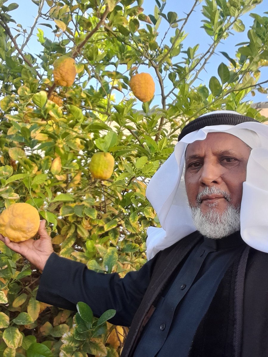 اللهم بك اصبحنا وعليك نوكلنا اللهم اني أسالك العفو والعافيه في الدنيا والاخره واغفرلي ولوالدي وللمسلمين اجمعين