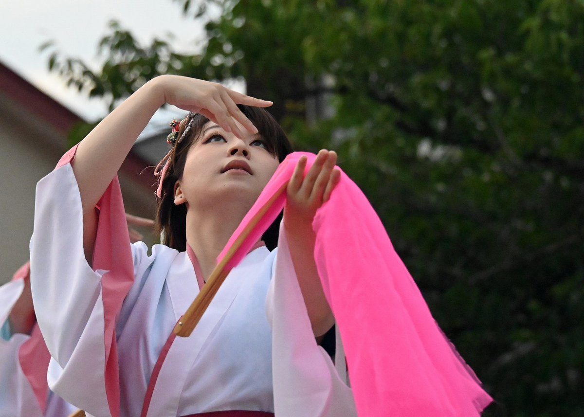 44982441shimu's tweet image. 能代市役所さくら庭   
夏だ！ビアガーデン屋台村2025にて  

蒼華天夢　その２