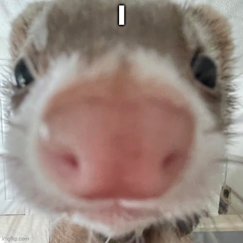 jbleedj's tweet image. 