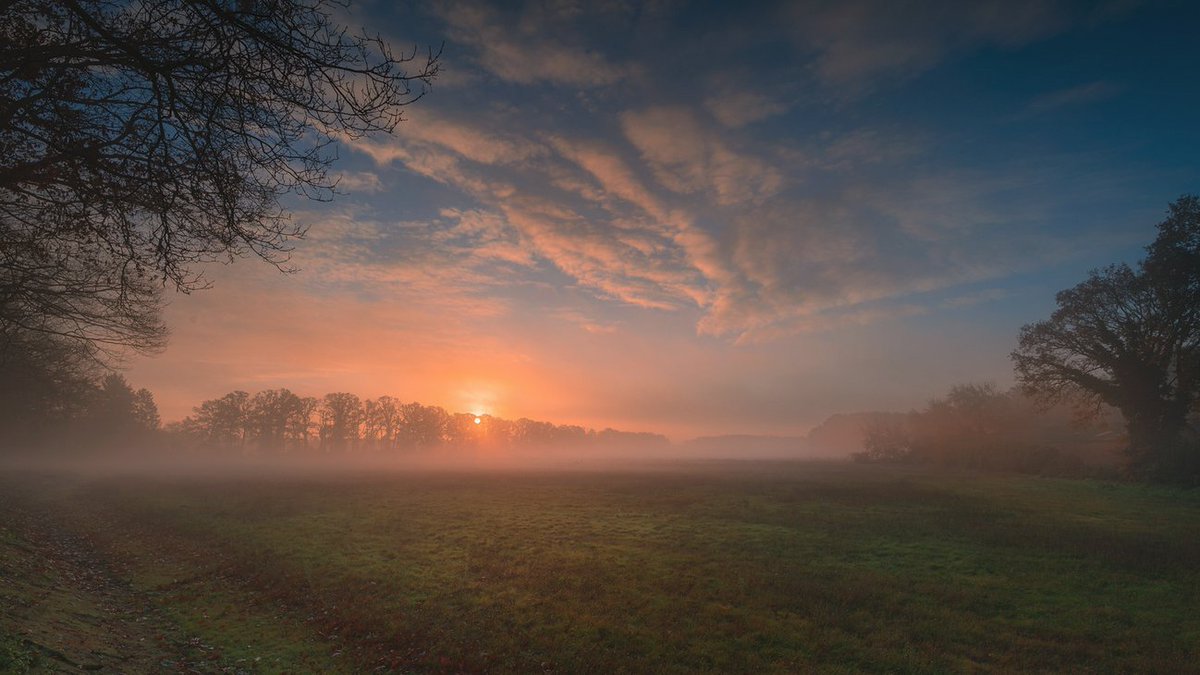 x_Noth1ng's tweet image. //  Constant Favier