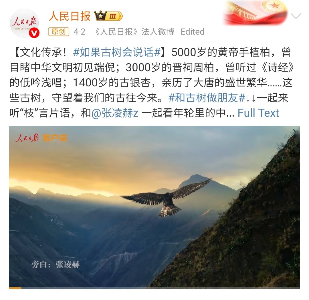 everydayzlh's tweet image. #zhanglinghe being invited by 3 largest media in china this year: china daily (interview), people&apos;s daily (interview &amp;amp; narrator) and xinhua news (narrator)😉

for people&apos;s daily&apos;s interview, he is the first actor being interviewed for the &quot;on-site interview&quot; session. plus being…