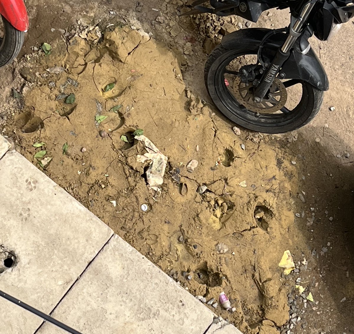 pandabhaina's tweet photo. ..nished work is making life difficult. Attaching pictures for reference and expect swift action.

We were told, that it won’t take more than 15-20 days and now it has been more than 2 months already and continues…

@BrahmapurCorp @PWD_Odisha https://t.co/HwFuHEbIT6