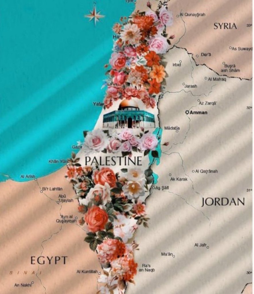 Dr.Motaz🍉🇵🇸 tweet media