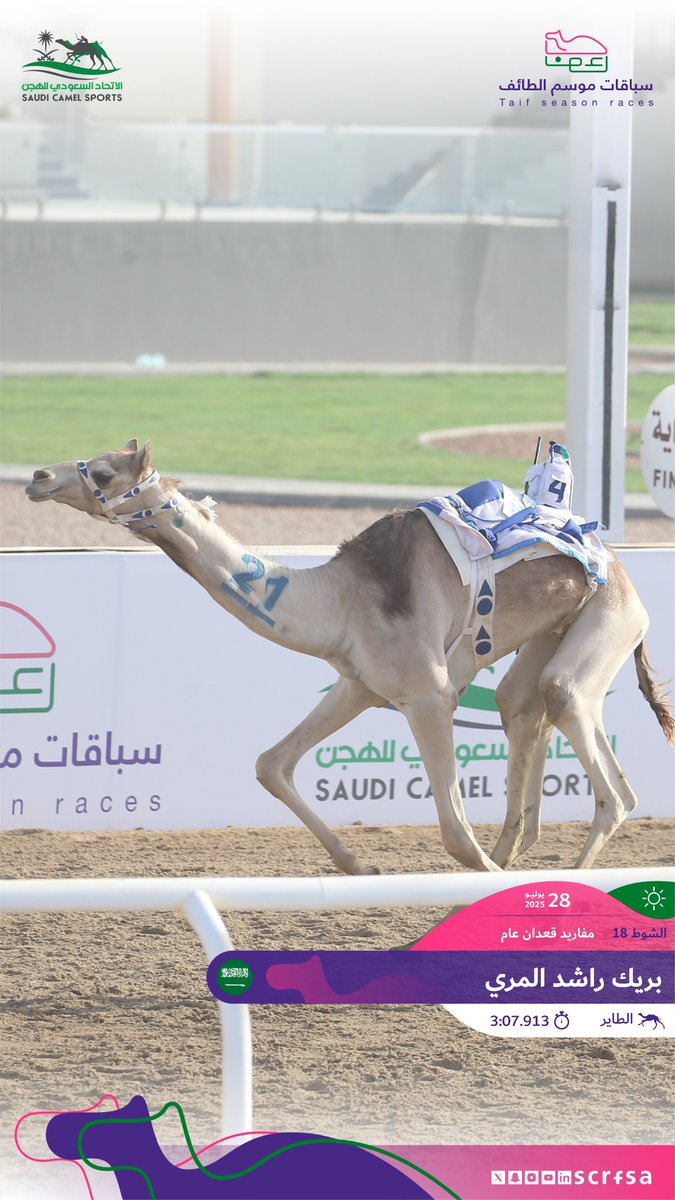 scrfSA's tweet image. #سباقات_موسم_الطائف 2025
أشواط السباق الثاني
🐪 الطاير
▫️ بريك راشد المري
🏁 الشوط 18: مفاريد قعدان عام.
⏱️ 3:07.913
🎥 youtube.com/watch?v=b0inBw…