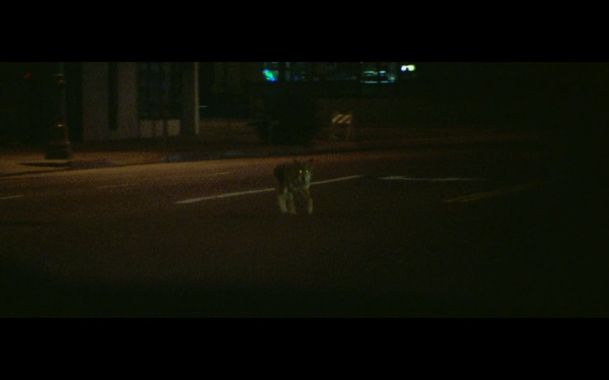 spherection's tweet image. collateral