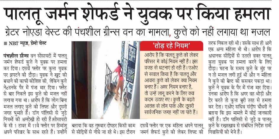 siddharth2596's tweet image. ग्रेनो वेस्ट की पंचशील ग्रीन्स वन सोसायटी में पालतू जर्मन शेफर्ड ने युवक पर हमला किया। बिना मजल के लिए जा रहे थे।