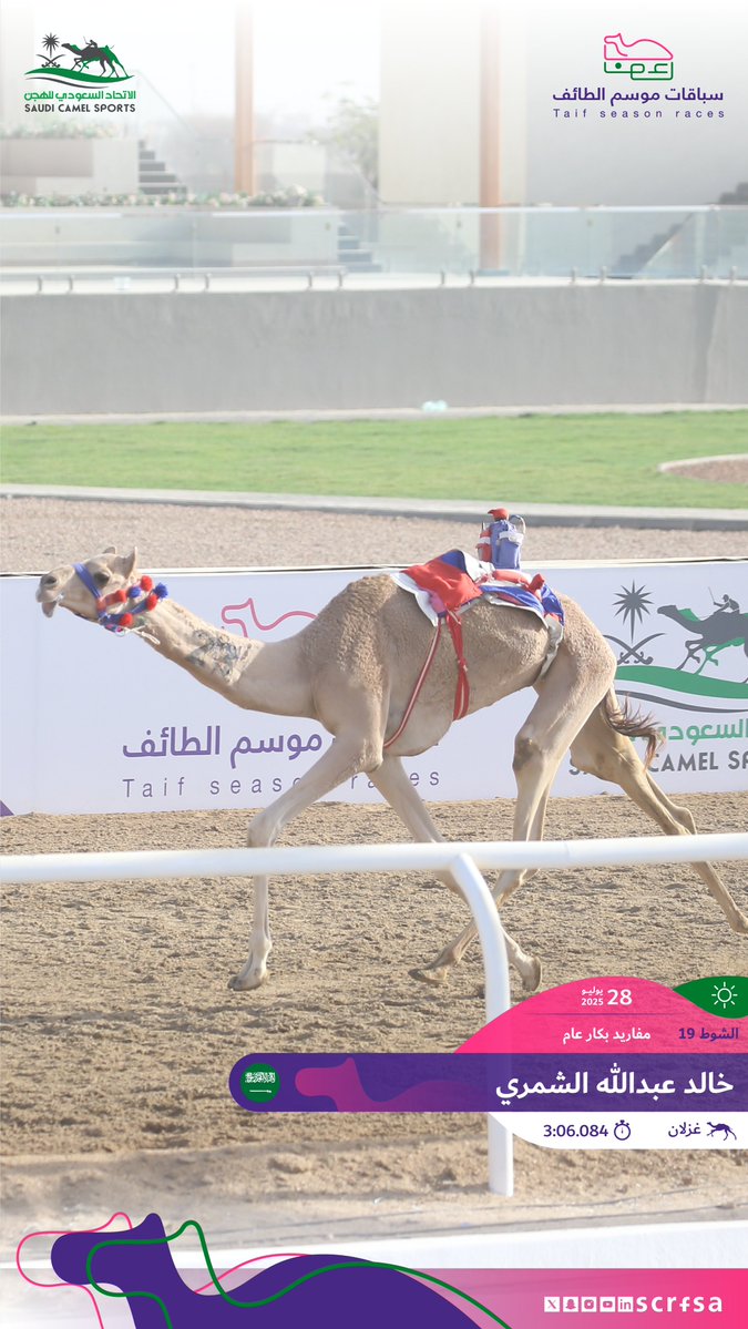 scrfSA's tweet image. #سباقات_موسم_الطائف 2025
أشواط السباق الثاني
🐪 غزلان
▫️خالد عبدالله الشمري
🏁 الشوط 19: مفاريد بكار عام.
⏱️3:06.084
🎥 youtube.com/watch?v=hDFIQu…