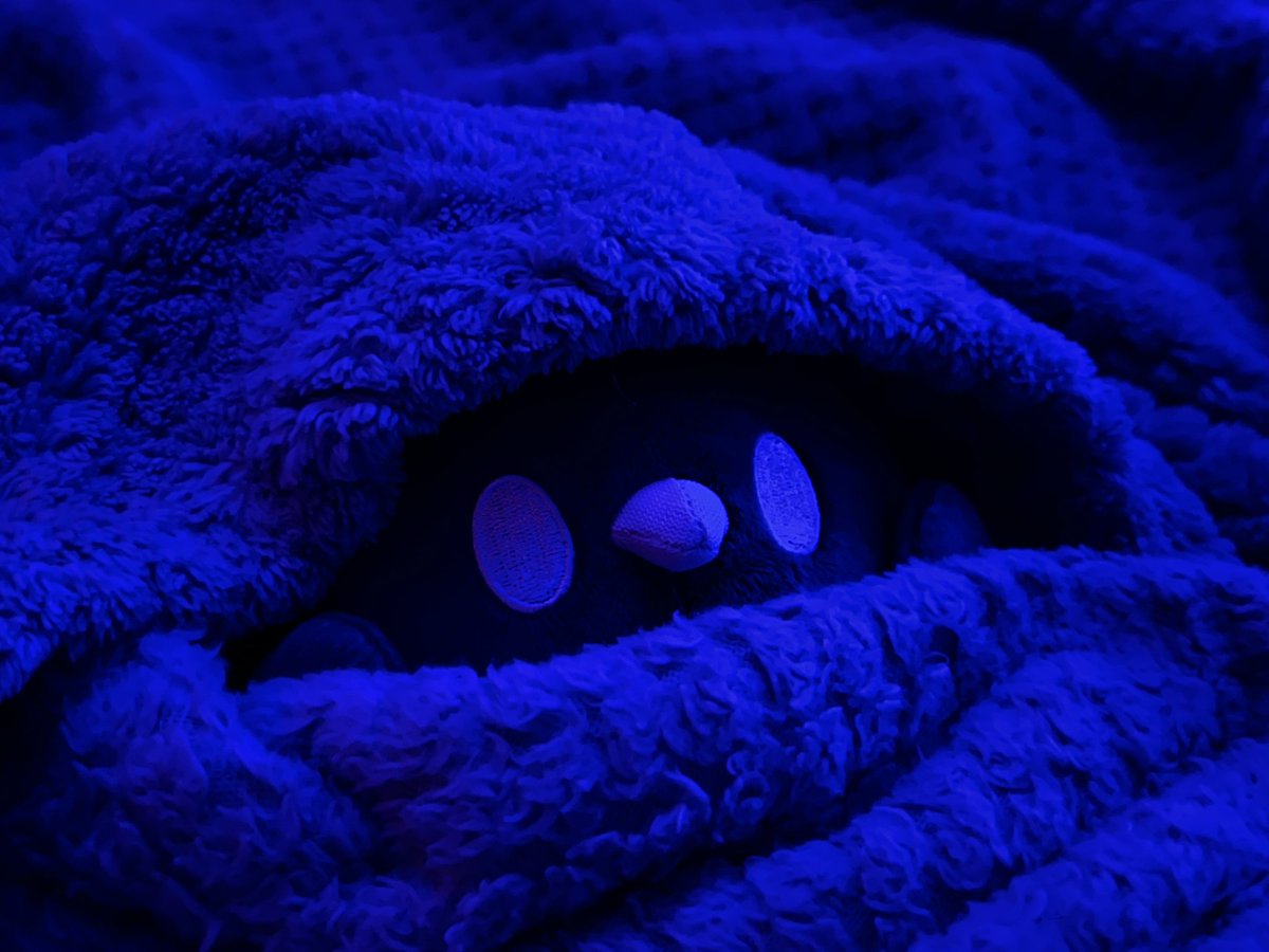 RizzlyBearCD's tweet image. Goodnight, Nerissa. I’m sure it’s just instinctual Jailbird clingy syndrome, but I’ve found myself yearning for you tonight. It’s very hard not to miss you, yet… I am so, so proud of all you’re accomplishing🥹
Sleep tenderly tonight. I love you always my lady💙
#RissaLIVE