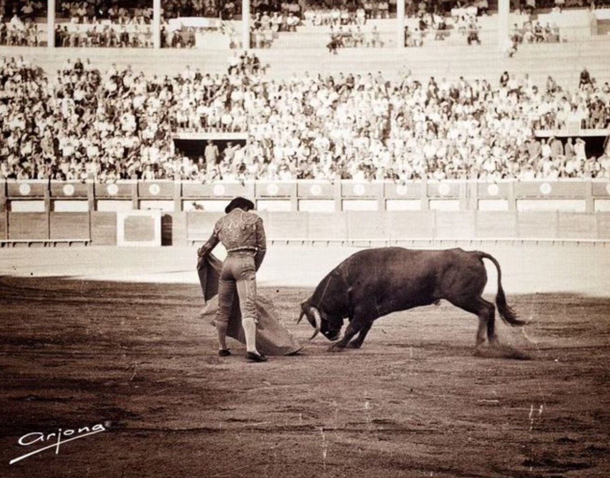 Alamares_largos's tweet image. Me encantaría poder volver ha sentir lo q se siente por primera vez.