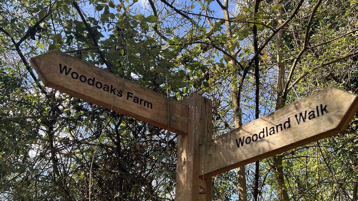 Organic Research Centre (@orgrescent) on Twitter photo Join us at The #AgroforestryShow with The Woodland Trust & <a href="/SoilAssociation/">Soil Association</a> 🌳 on 10 - 11 September at Woodoaks Farm, Herts #agroforestry and unpack how trees and hedgerows on farms can boost #soilhealth, wildlife populations and food production. 🚜 agroforestryshow.com Join us at The #AgroforestryShow with The Woodland Trust & <a href="/SoilAssociation/">Soil Association</a> 🌳 on 10 - 11 September at Woodoaks Farm, Herts #agroforestry and unpack how trees and hedgerows on farms can boost #soilhealth, wildlife populations and food production. 🚜 agroforestryshow.com
