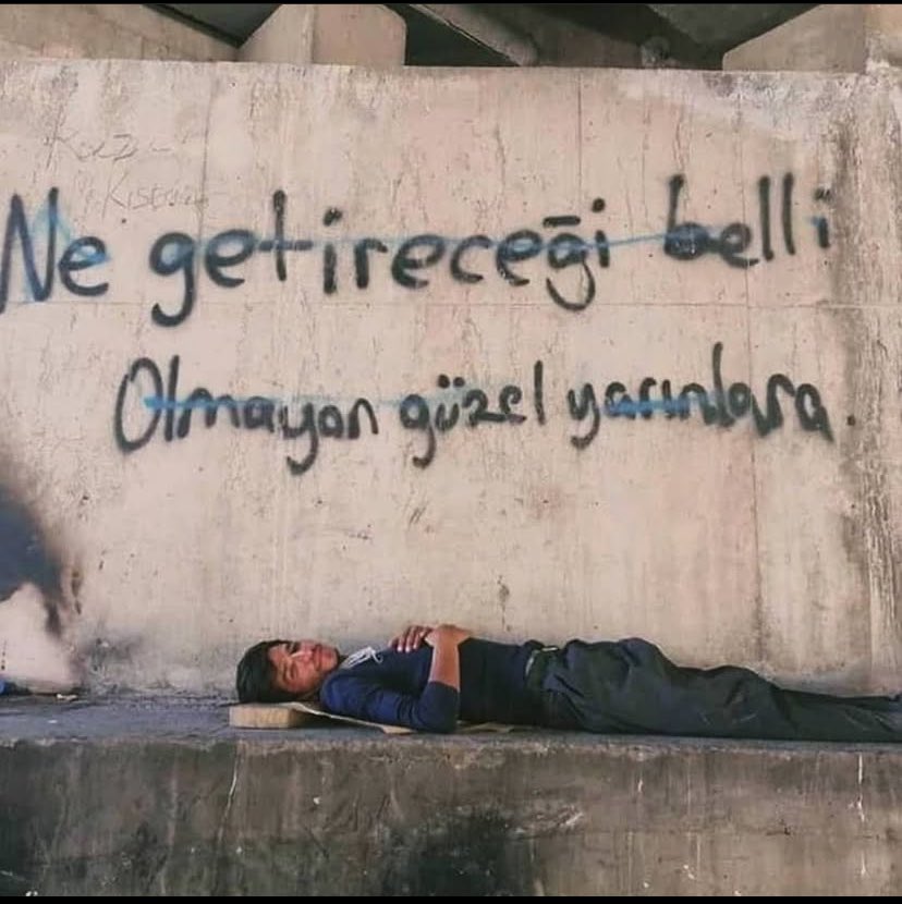 Adar Mives (@adarmives) on Twitter photo 