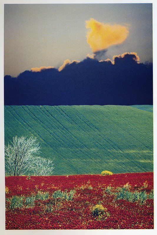 masdearte's tweet image. 📸 Franco Fontana.

¡Buena semana!
