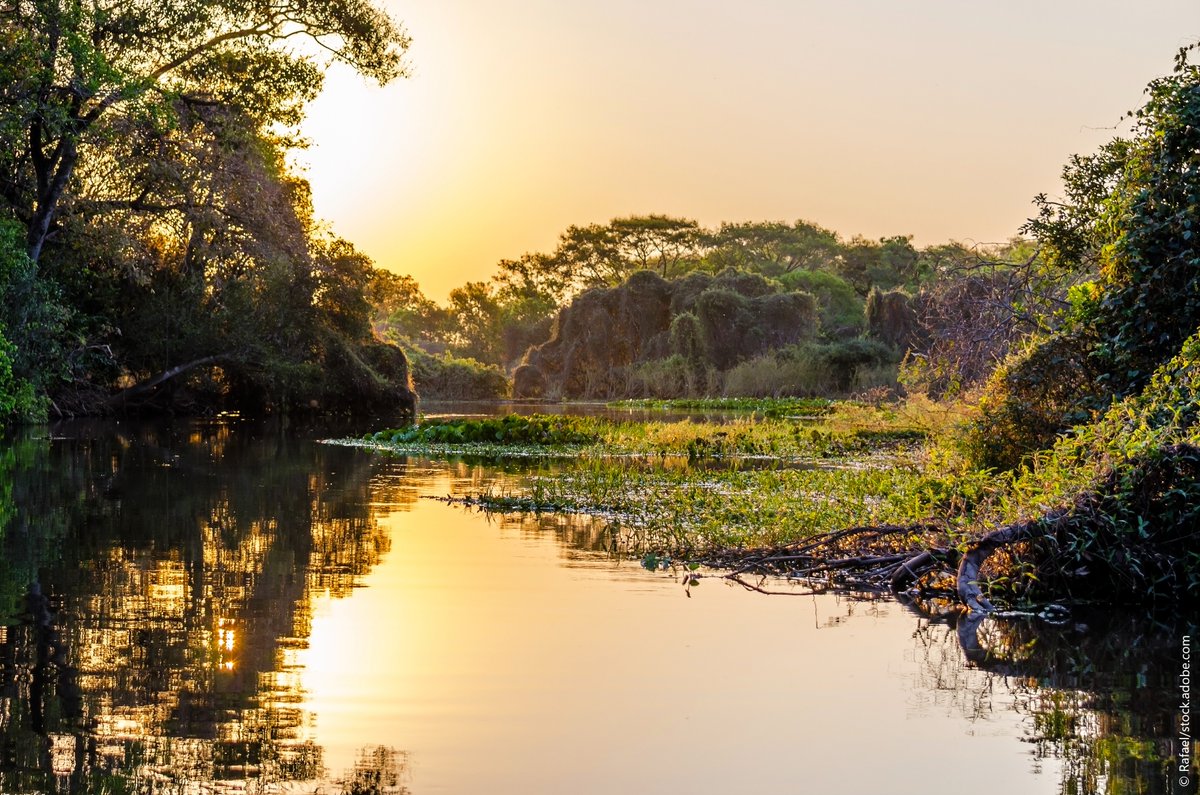 CORDIS_EU's tweet image. Biodiversity protection through innovative decision tools.
@guarden_eu developed new artificial intelligence-driven tools to help policymakers better integrate biodiversity issues into the decision-making process. โก๏ธ europa.eu/!3vhGKd
