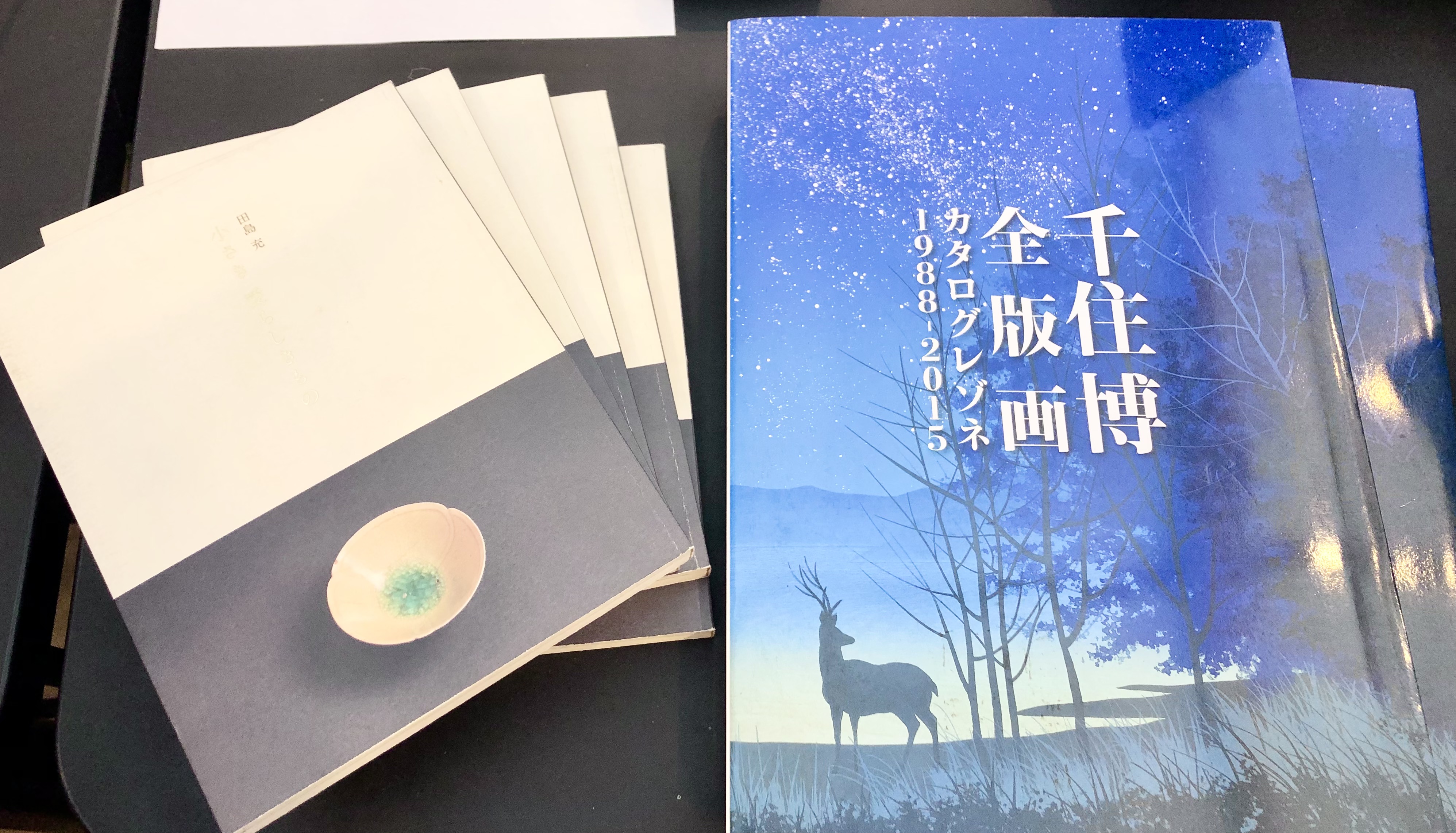 希少！！ 千住博 全版画 カタログレゾネ 1988-2015 Amazon.co.jp