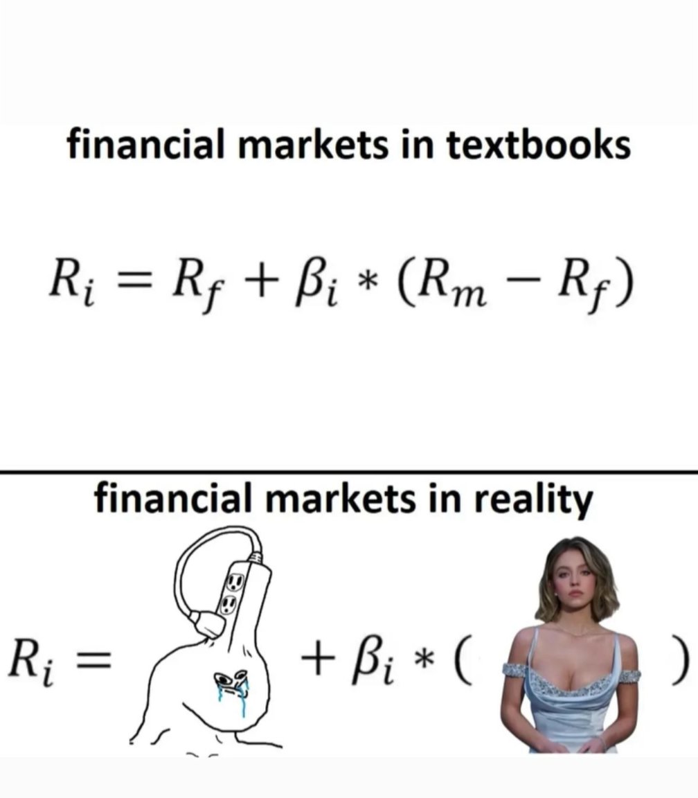 PromiseOfStorms's tweet image. The market always corrects itself and it is never rational.