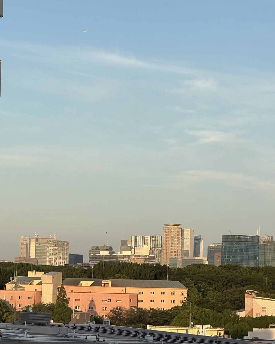 mimozaTokyo's tweet image. こんばんは 18:30 パチリッ!
西陽があたりとてもキレイ❗️
ミモザはココの景色が大好き❤
今日の日はさようなら〜
お仕事お疲れ様でございました♪
今日も有難うございました。