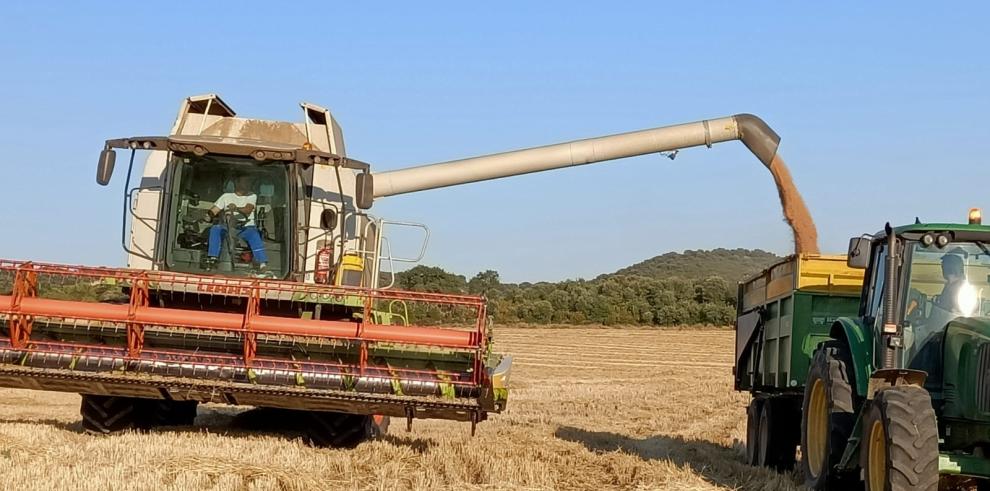 GobAragon's tweet image. 🚜 El Gobierno de Aragón impulsa con más de 24,5 millones de euros el relevo generacional y la modernización del sector agrario en 2025.
👉 El Departamento finalizará este 2025 los pagos del extinto PDR, al tiempo que ha impulsado el nuevo PEPAC con una previsión de 13 millones.…