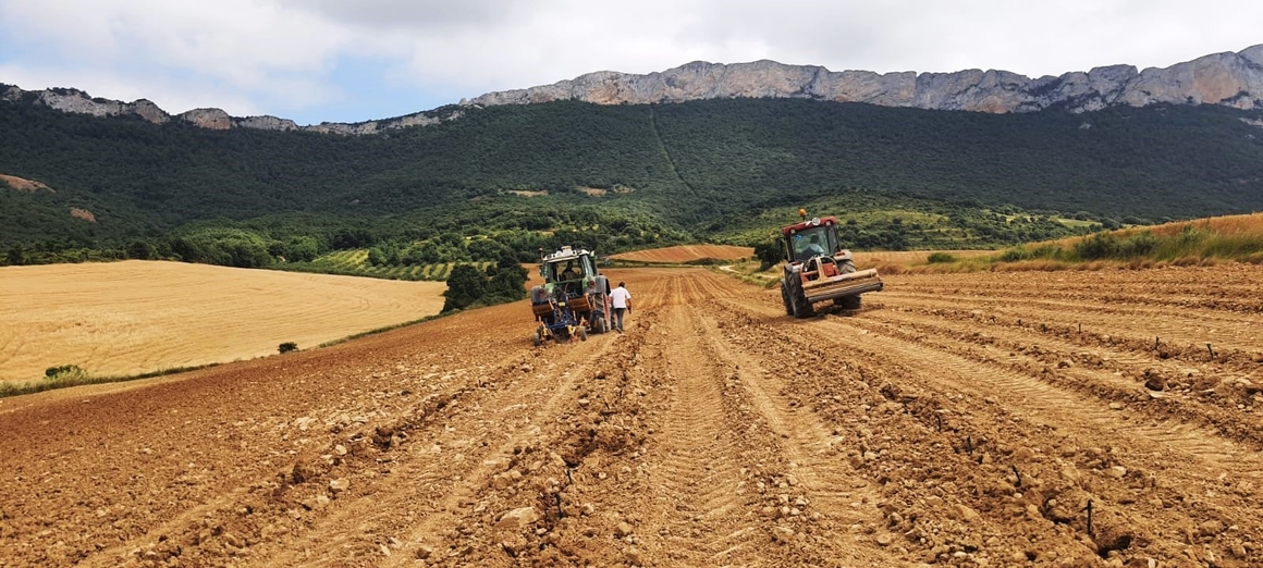 La Rioja Alta, S.A. está desarrollando ambiciosos proyectos de plantación, reestructuración e innovación vitícola en las cuatro #bodegas que integran este grupo bodeguero:  periodistadigital.com/elbuenvivir/20… #vinos
<a href="/LaRiojaAltaSA/">Bodega La Rioja Alta, S.A.</a>