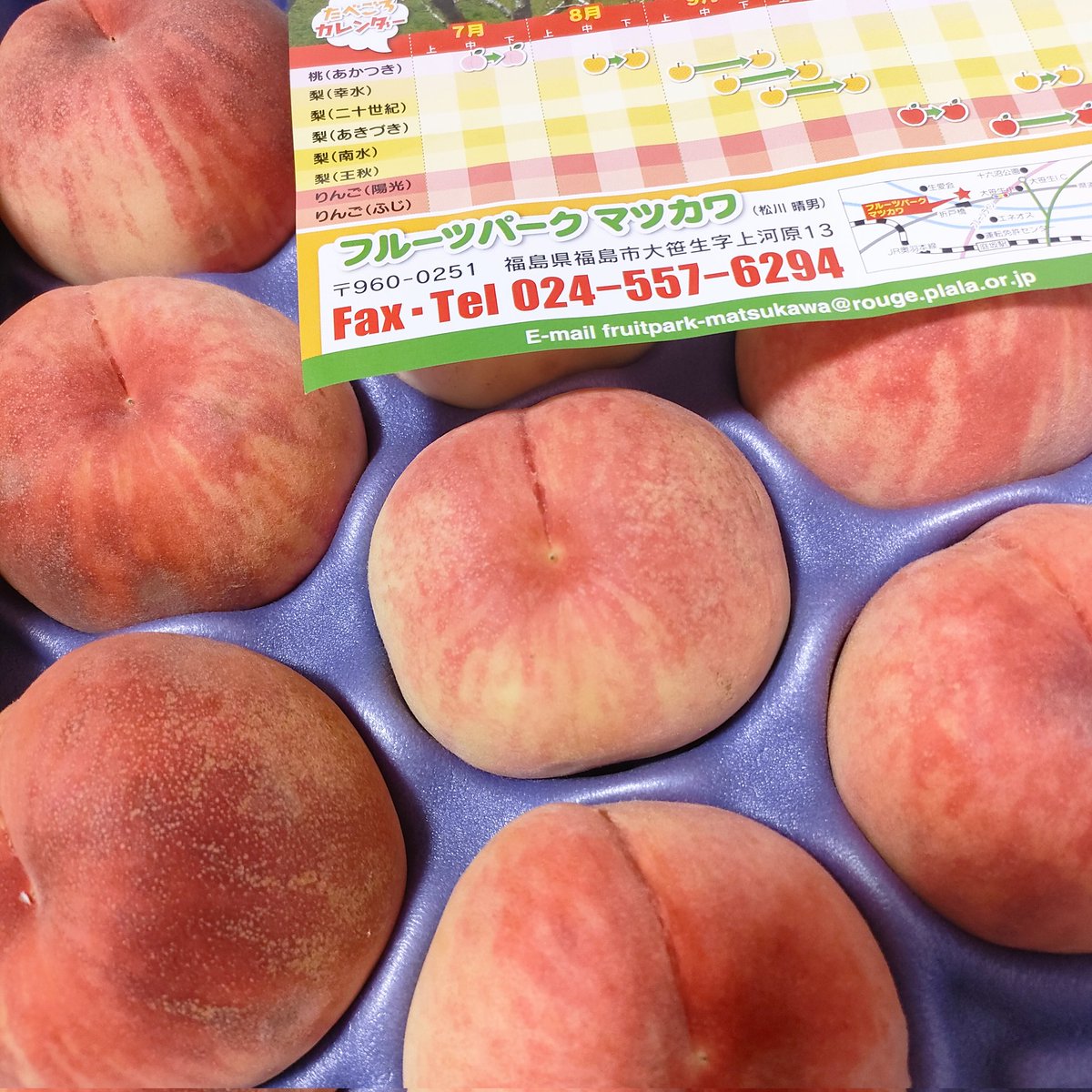 妹から桃🍑の贈り物が✨✨✨
妹のお友達繋がりで何度か頂いてるんだけど、フルーツパークマツカワさんのは桃も美味しいし梨もむっちゃくちゃ美味しいのでぜひ✨✨✨