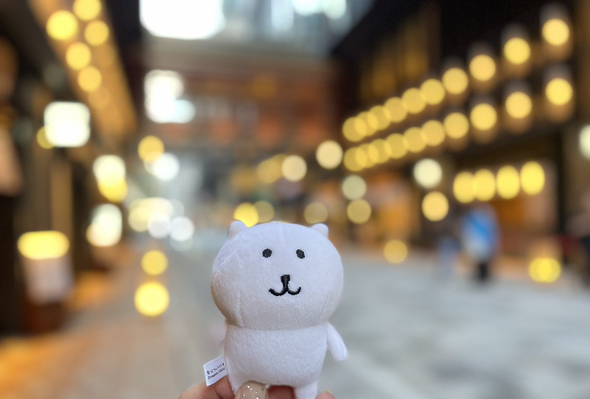 myarchill's tweet image. また東京行きたいなぁ
ここは宿泊したホテルのすぐ近く、日本橋のコレド室町 きれいだったね✨
夕方の散歩楽しかったよ(  ´ᴥ` )