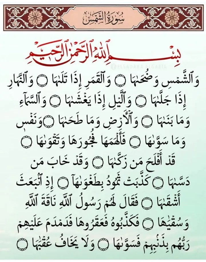 Teeteeyy's tweet image. Read and repost 🤩
