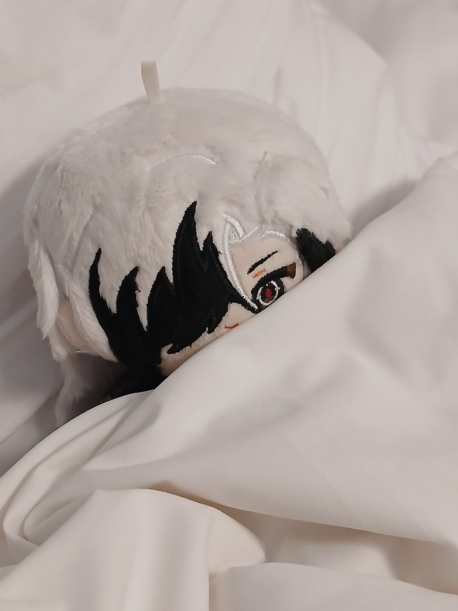 pal8o5's tweet image. 