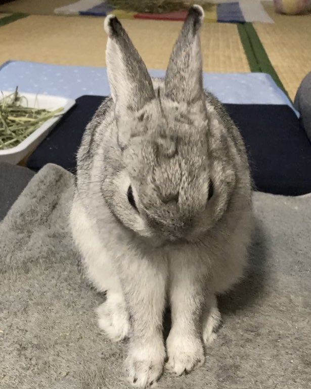 Er7Eh's tweet image. こんばんは

うーです