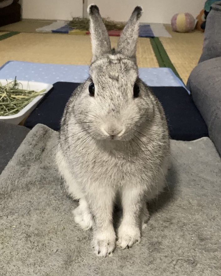Er7Eh's tweet image. こんばんは

うーです