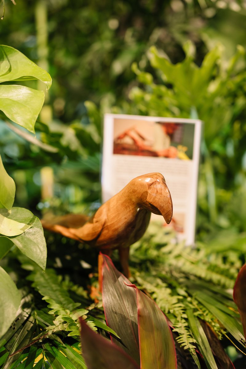 El ambiente también estuvo adornado por una muestra de artesanías de aves hechas de madera y chaquiras gracias al taller Amano, y elaboradas por comunidades del Caribe y Amazonas colombiano 👐🇨🇴