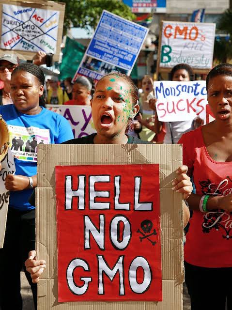 We Say NO to GMO