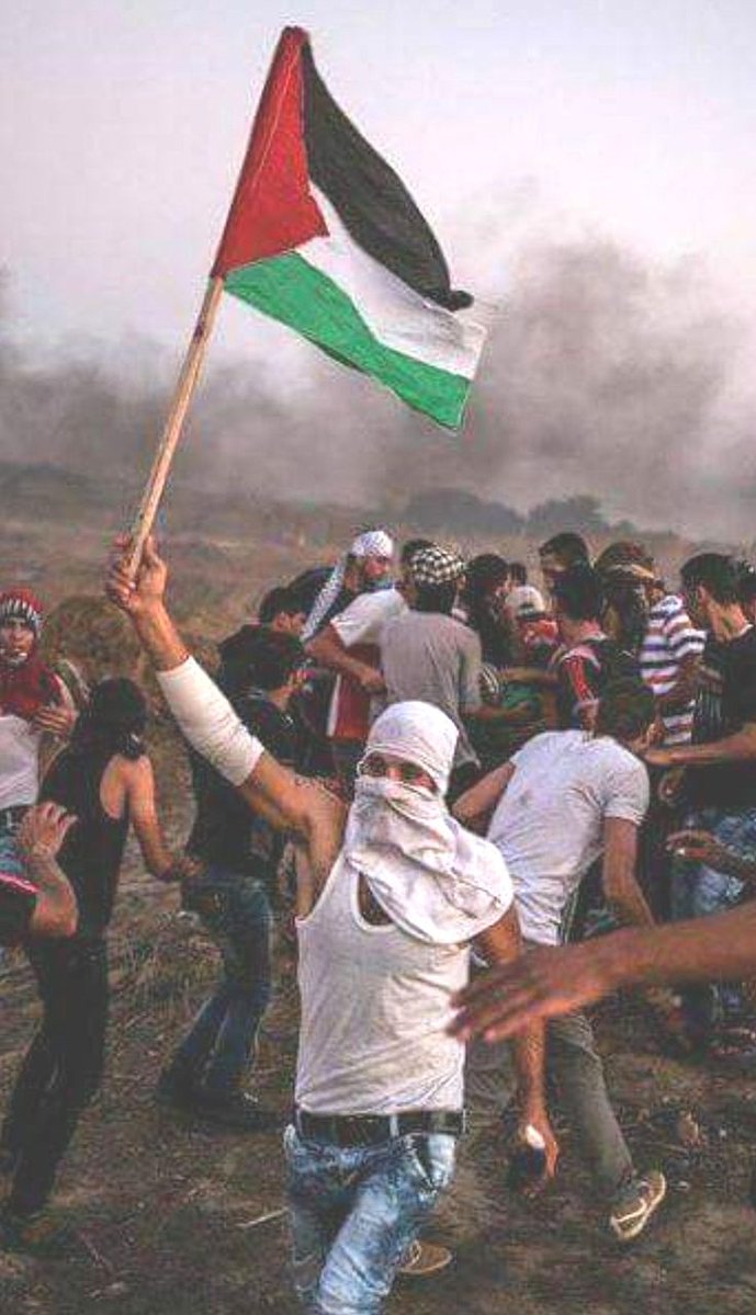 No hagas silencio, alza tu voz ¡PALESTINA LIBRE!