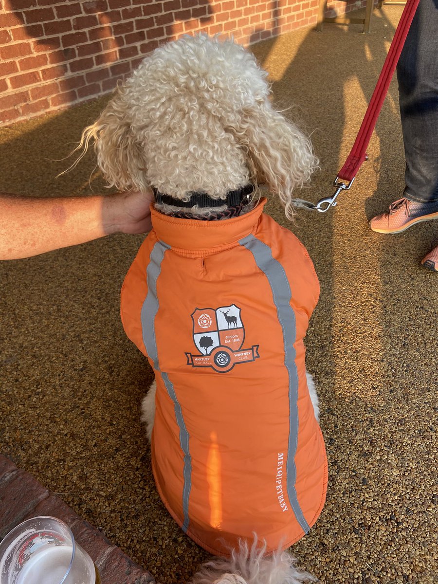 Hartley Wintney FC (@hartleyfc) on Twitter photo <a href="/MikeAmosBlog/">Mike Amos</a> <a href="/NonLeagueCrowd/">Non League Crowds</a> <a href="/bororangers/">Boro Rangers FC</a> <a href="/HordenCWFC/">Horden Community Welfare FC</a> <a href="/NLFanAccount/">Northern League Fan Page</a> <a href="/NorthallertonFC/">Northallerton Town FC</a> <a href="/crooktown_afc/">Crook Town AFC</a> Yes…accompanied by an owner of course! We welcome <a href="/nonleaguedogs/">nonleaguedogs</a> at our ground. We also offer Pup Cups (non dairy cream with a few doggy treats).
We’ve had no bad experiences at all with our four legged friends on match days. <a href="/MikeAmosBlog/">Mike Amos</a> <a href="/NonLeagueCrowd/">Non League Crowds</a> <a href="/bororangers/">Boro Rangers FC</a> <a href="/HordenCWFC/">Horden Community Welfare FC</a> <a href="/NLFanAccount/">Northern League Fan Page</a> <a href="/NorthallertonFC/">Northallerton Town FC</a> <a href="/crooktown_afc/">Crook Town AFC</a> Yes…accompanied by an owner of course! We welcome <a href="/nonleaguedogs/">nonleaguedogs</a> at our ground. We also offer Pup Cups (non dairy cream with a few doggy treats).
We’ve had no bad experiences at all with our four legged friends on match days.