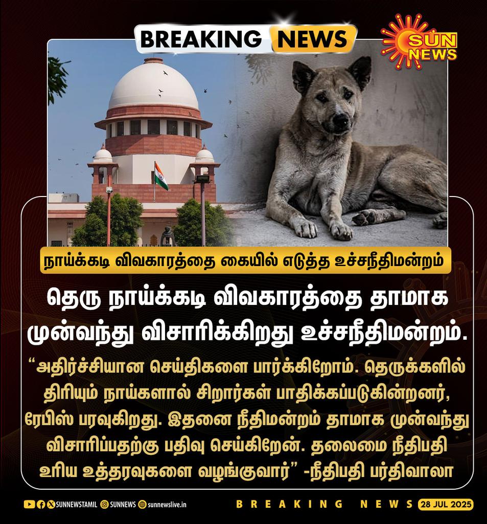 AdiseshC's tweet image. Stray dogs are very dangerous doctor's all over India if they insist stray dogs should be eradicated definitely Narendra Modi CMs and MLA's of our country will have no choice they have to eradicate doctor's please insist stray dogs eradication CR ADISESH Bangalore