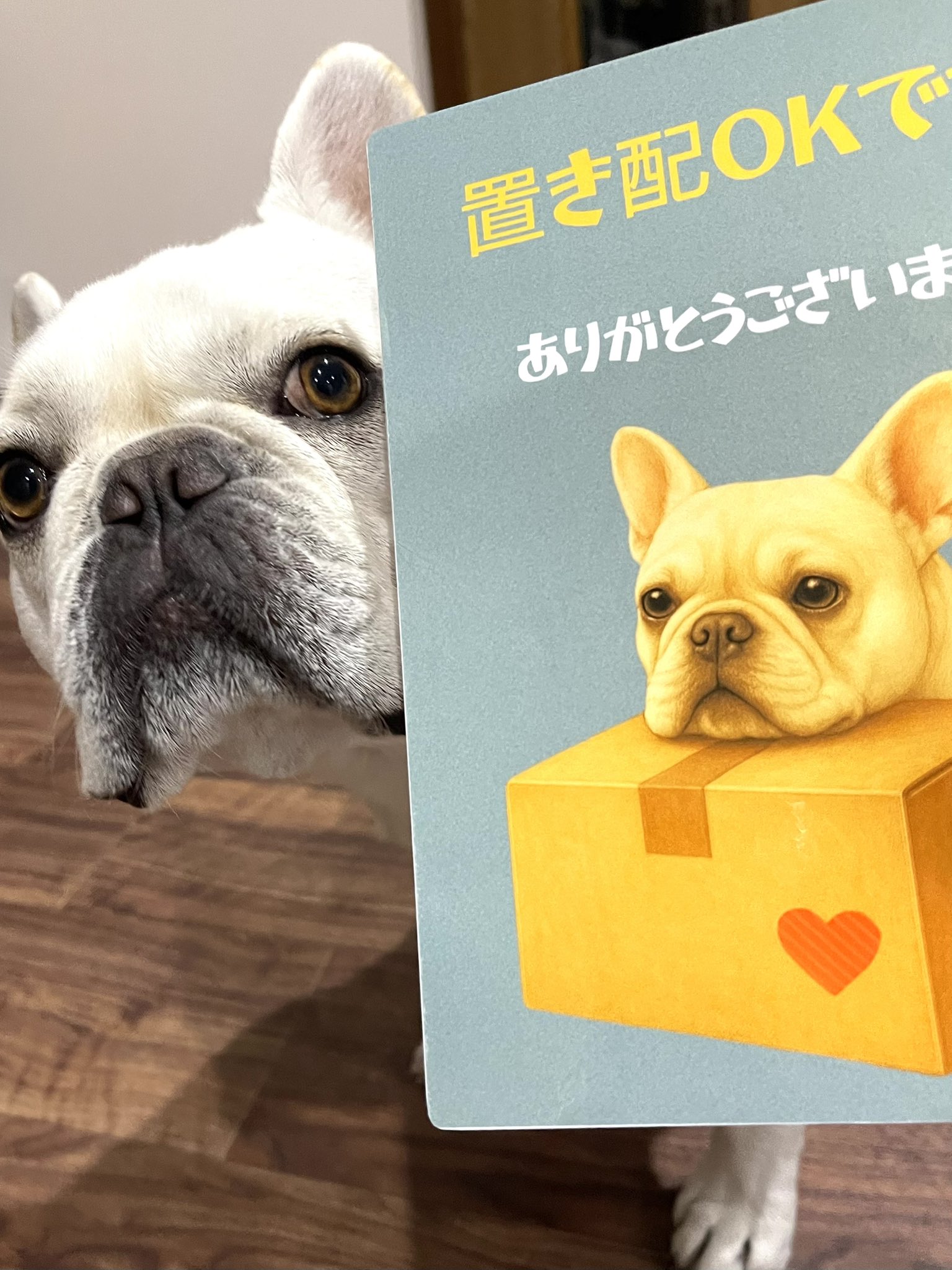 浜の金ちゃん Amazon.co.jp: 徳島製粉 金ちゃん 金色の醤油ラーメン 106g×12個