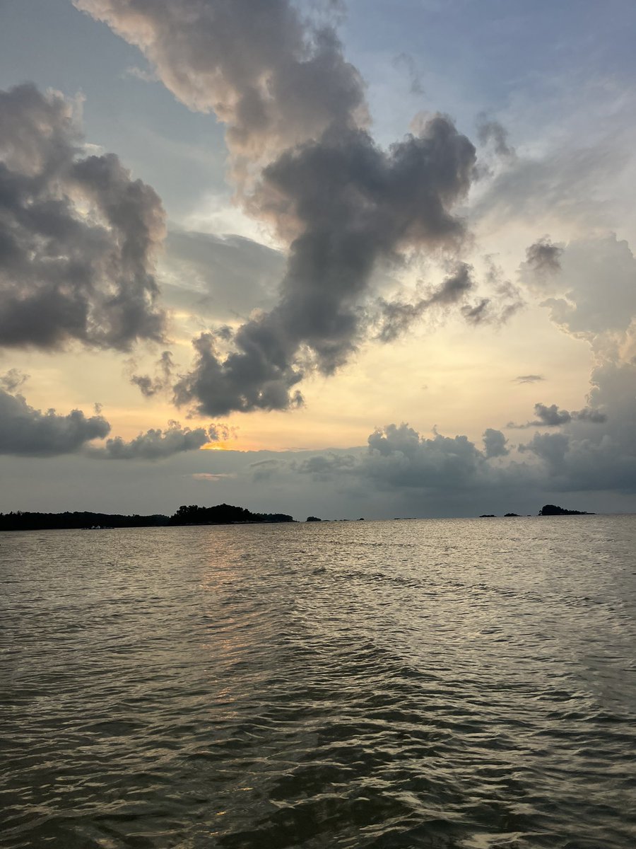 GoodDaisy tweet media