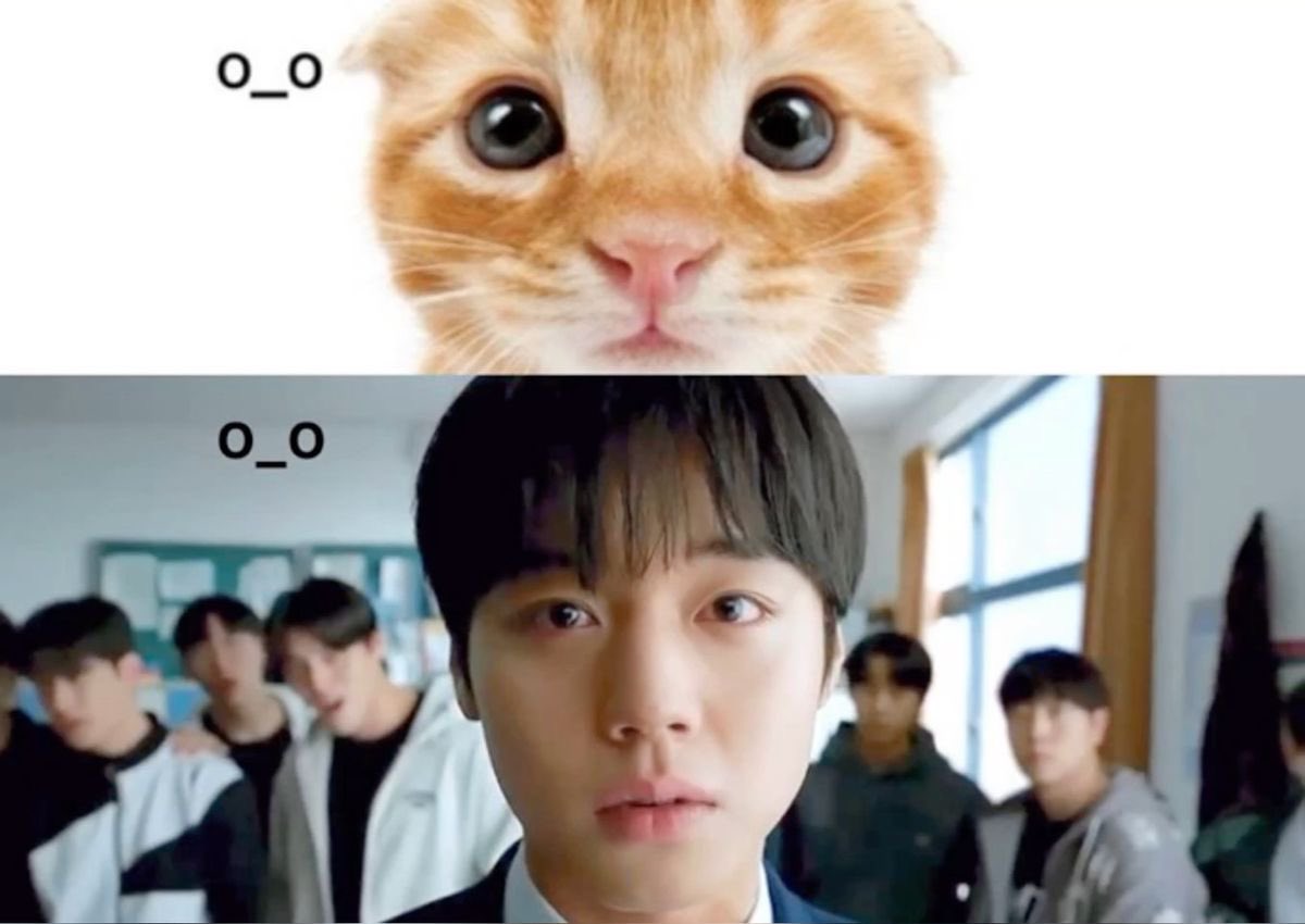 aydeii's tweet image. 아 귀여워 똑같애
