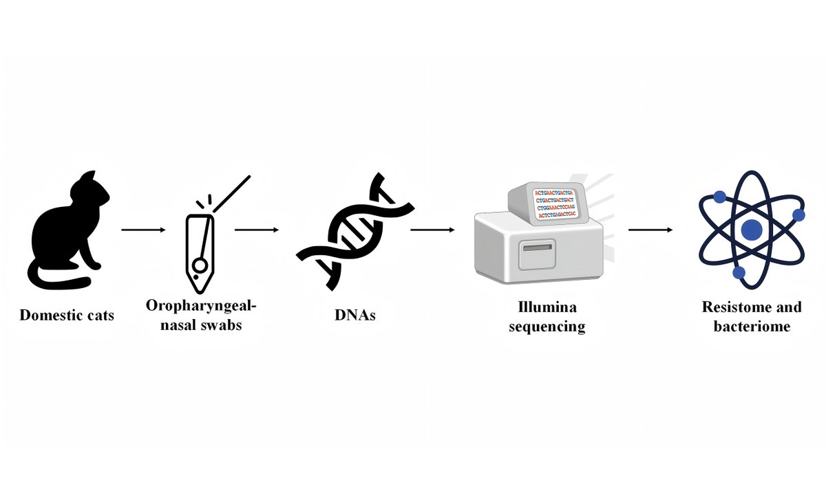 MicroResRep's tweet image. 🐱 New in #MicrobiomeResearch Reports (#MRR):
"Profiling the composition of resistome and bacteriome in the upper respiratory tract of domestic cats with respiratory signs in China"
—Dr.Shengbo Cao
🔗 Read more: oaepublish.com/articles/mrr.2… #AntibioticResistance #VeterinaryScience