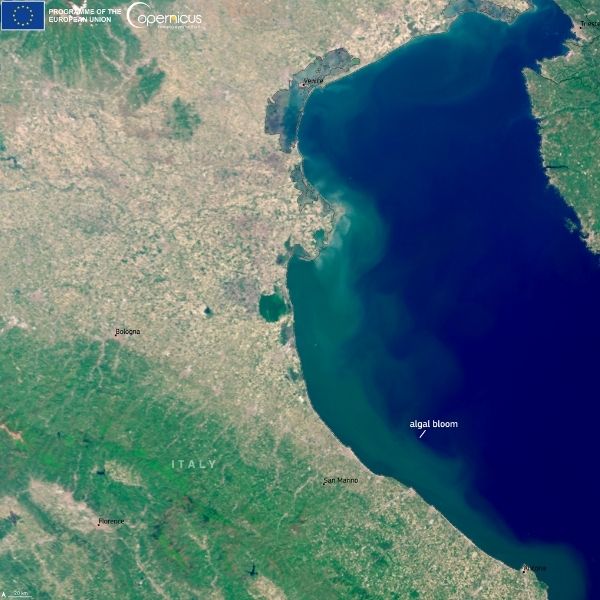 A maggio 2025, un’importante fioritura algale ha colpito l’Adriatico. Il Copernicus Marine Service ha fornito dati essenziali per monitorare il fenomeno e supportare la gestione ambientale.
#fioriturealgali #copernicusmarineservice #adriatico
geosmartmagazine.it/2025/06/23/alg…