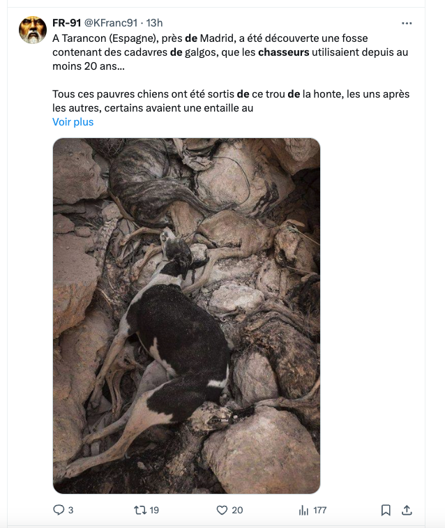 FrancAller_info's tweet photo. Pour une fois, ceci n'est pas un #fake 🤷♂️
Cela remonte à 2018, en Espagne*.
L'enquête menée par la Guardia Civil n'a, hélas, pas abouti.
La Fédération royale espagnole de #chasse #RFEC et la Fondation Artemisan** souhaitaient se constituer parties civiles, et demandaient une enquête rigoureuse***.
On ne saura jamais s'il s'agissait de #chasseurs, ce qui n'était aucunement exclu, ou de trafiquants qui, s'ils ne parviennent pas à vendre au marché noir des lévriers volés, les abandonnent ou les tuent, comme le suggérait la RFEC...
Celle-ci avait également rappelé à cette occasion que « certains refuges pour animaux ont également été impliqués dans des pratiques scandaleuses d'abattage massif de chiens, mais cela ne signifie pas que d'autres refuges de ce type soient stigmatisés comme “tueurs de chiens” » ****
Elle n'a évidemment guère été entendue, comme vous vous en doutez.
Nous avons en France une relation affective et culturelle très forte envers les #chiens, et un cadre juridique parmi les plus rigoureux. Ce n'est pas le cas dans bien d'autres pays, notamment européens.
Que dire de plus ?
* La fosa común de los 30 perros muertos, El Pais, 15 février 2018 :
https://t.co/6F5qQNjnWJ
** La Fundación Artemisan est un organisme privé, qui oeuvre à promouvoir une gestion durable de la biodiversité, à travers la pratique de la chasse.
➡️ https://t.co/XvGhOn2Bzk
*** https://t.co/CBd9FRFCJJ
**** https://t.co/NEgkOu5TSJ
Le zozo, tout fier de son coup : https://t.co/pvqM3SjSYH