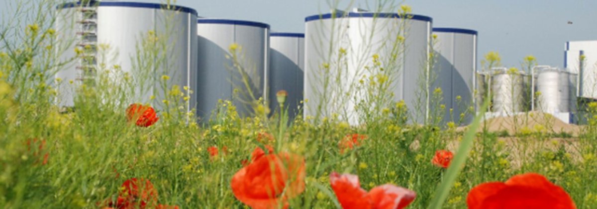 #Verbio's Q4 FY25 results are expected to show early signs of operational recovery. A full turnaround remains unlikely at this stage but seems on the horizon. BUY. research-hub.de
$VBK #Biofuels #Earnings #GreenEnergy #Investing #SmallCaps