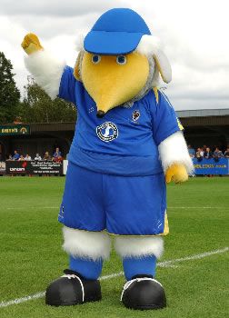 HaydontheWomble's tweet image. 4 days until my 20th season as #mascot for this amazing football club! Can't wait for it to begin! P.S I'm ready for the call when needed.... #AFCW #AFCWimbledon 💛💙