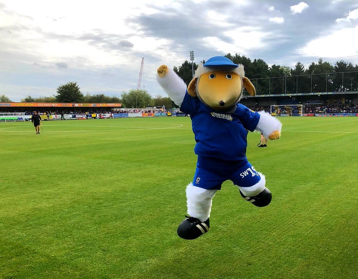 HaydontheWomble's tweet image. 4 days until my 20th season as #mascot for this amazing football club! Can't wait for it to begin! P.S I'm ready for the call when needed.... #AFCW #AFCWimbledon 💛💙