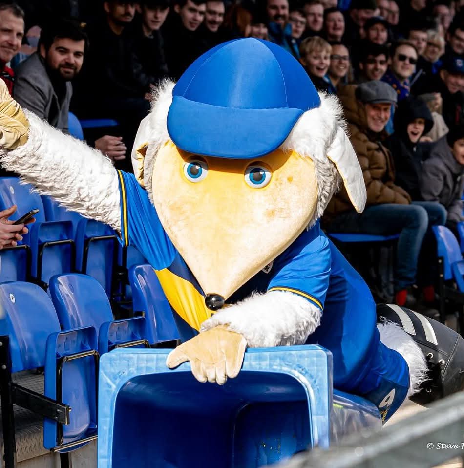 HaydontheWomble's tweet image. 4 days until my 20th season as #mascot for this amazing football club! Can't wait for it to begin! P.S I'm ready for the call when needed.... #AFCW #AFCWimbledon 💛💙
